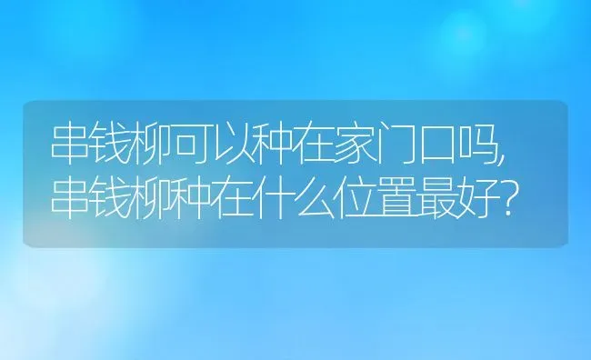 串钱柳可以种在家门口吗,串钱柳种在什么位置最好？ | 养殖科普