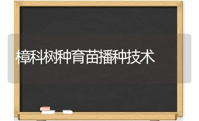 樟科树种育苗播种技术 | 养殖技术大全