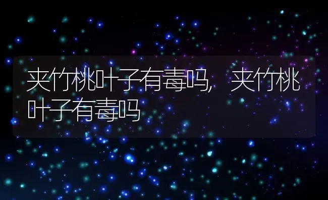夹竹桃叶子有毒吗,夹竹桃叶子有毒吗 | 养殖科普