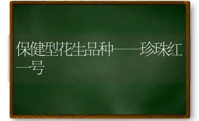 保健型花生品种——珍珠红一号 | 养殖技术大全