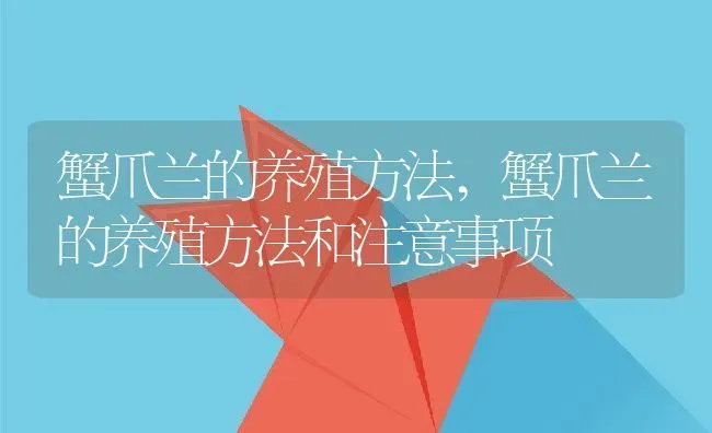 蟹爪兰的养殖方法,蟹爪兰的养殖方法和注意事项 | 养殖科普