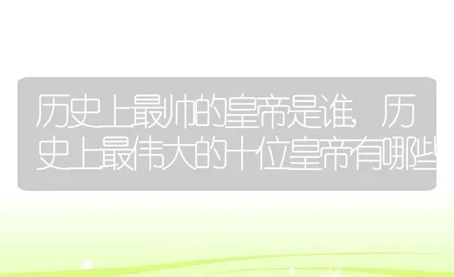 和田玉有几种颜色,和田玉的品种 | 养殖科普