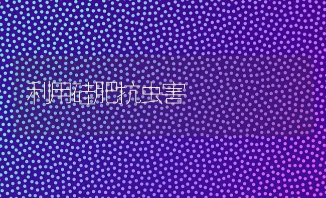 利用硅肥抗虫害 | 养殖技术大全