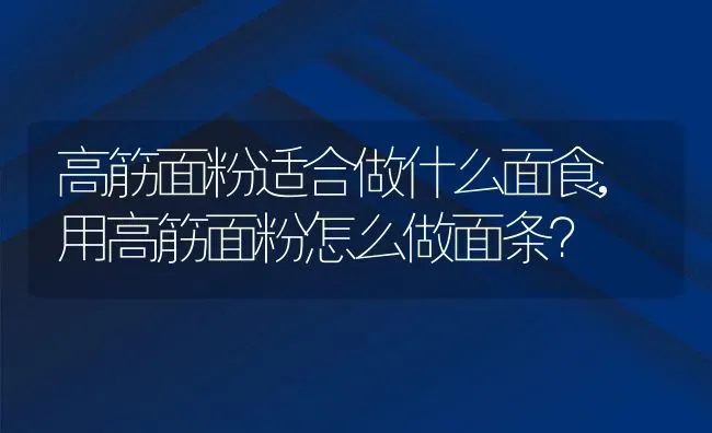 高筋面粉适合做什么面食,用高筋面粉怎么做面条？ | 养殖科普