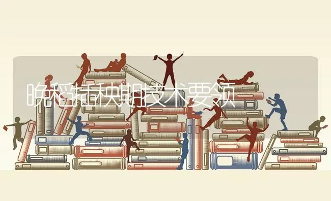 晚稻插秧期技术要领 | 养殖技术大全