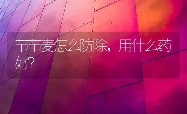 节节麦怎么防除,用什么药好? | 养殖技术大全