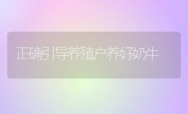 正确引导养殖户养好奶牛 | 养殖知识