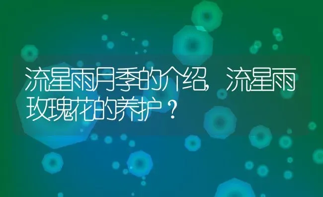 流星雨月季的介绍,流星雨玫瑰花的养护？ | 养殖科普