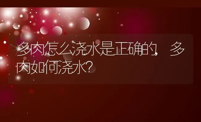 多肉怎么浇水是正确的,多肉如何浇水？ | 养殖科普