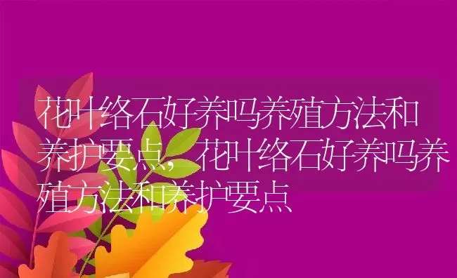 花叶络石好养吗养殖方法和养护要点,花叶络石好养吗养殖方法和养护要点 | 养殖科普