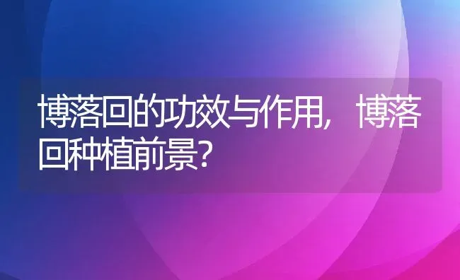 博落回的功效与作用,博落回种植前景？ | 养殖科普