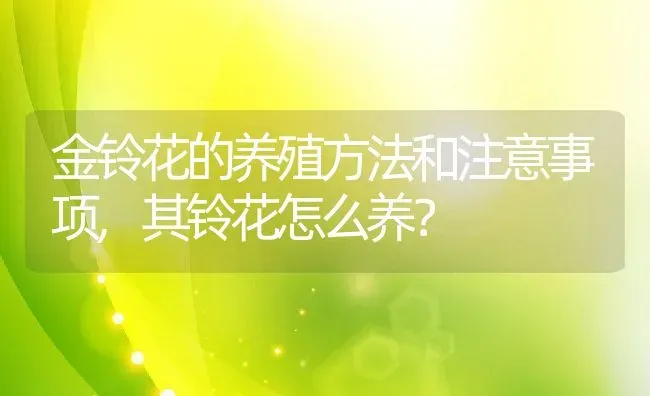 金铃花的养殖方法和注意事项,其铃花怎么养？ | 养殖科普