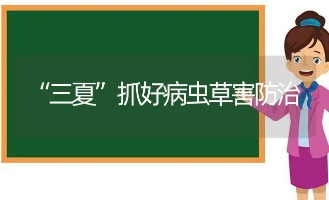 “三夏”抓好病虫草害防治 | 养殖技术大全