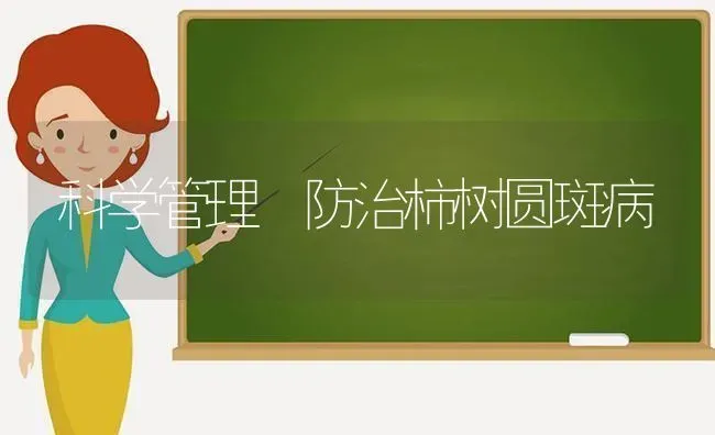 科学管理 防治柿树圆斑病 | 养殖技术大全