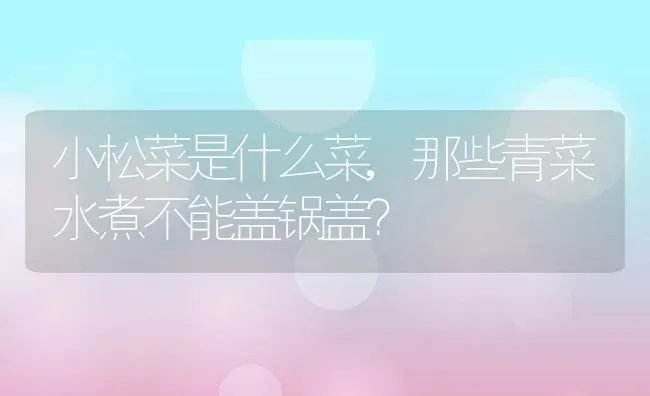 小松菜是什么菜,那些青菜水煮不能盖锅盖？ | 养殖科普