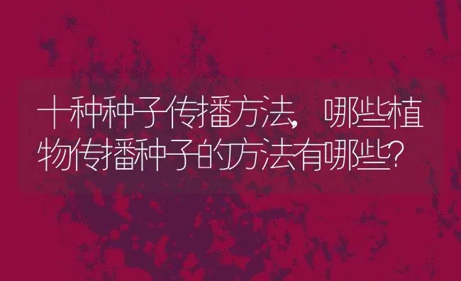 十种种子传播方法,哪些植物传播种子的方法有哪些？ | 养殖科普