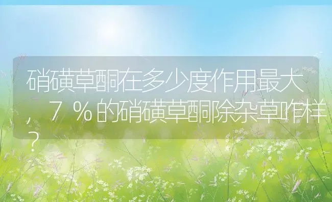 硝磺草酮在多少度作用最大,7%的硝磺草酮除杂草咋样？ | 养殖科普