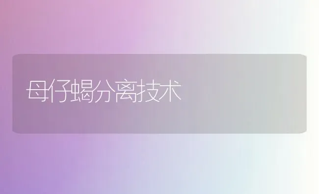 母仔蝎分离技术 | 养殖知识