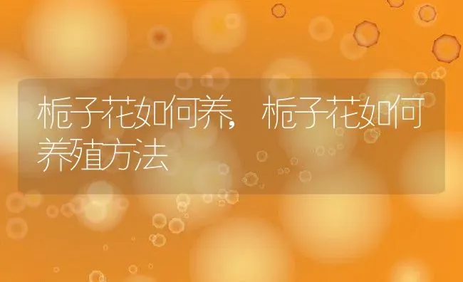 为什么中国是兔子,为什么说中国是兔子 | 养殖科普
