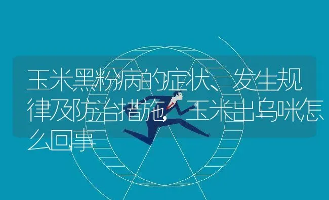 玉米黑粉病的症状、发生规律及防治措施,玉米出乌咪怎么回事 | 养殖学堂