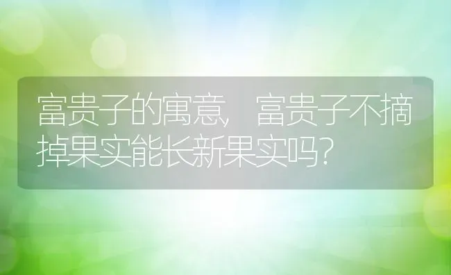 富贵子的寓意,富贵子不摘掉果实能长新果实吗？ | 养殖科普