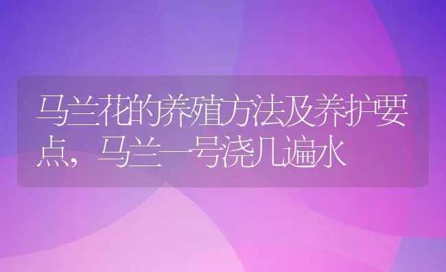 马兰花的养殖方法及养护要点,马兰一号浇几遍水 | 养殖学堂