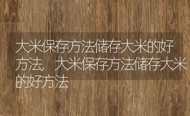 大米保存方法储存大米的好方法,大米保存方法储存大米的好方法 | 养殖科普