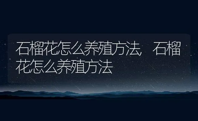 石榴花怎么养殖方法,石榴花怎么养殖方法 | 养殖学堂