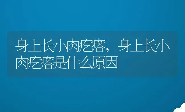 身上长小肉疙瘩,身上长小肉疙瘩是什么原因 | 养殖科普