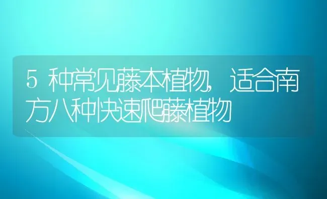 5种常见藤本植物,适合南方八种快速爬藤植物 | 养殖学堂