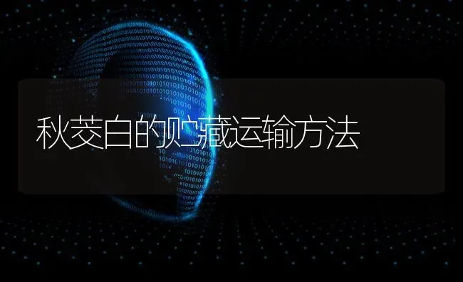 秋茭白的贮藏运输方法 | 养殖技术大全