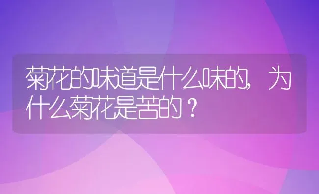 菊花的味道是什么味的,为什么菊花是苦的？ | 养殖学堂