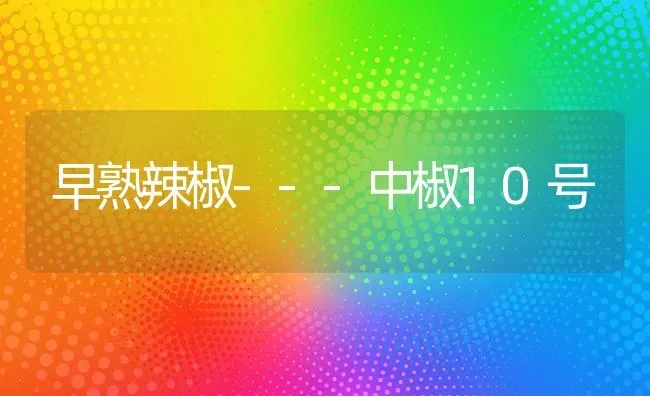 早熟辣椒---中椒10号 | 养殖技术大全