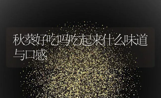 秋葵好吃吗吃起来什么味道与口感 | 养殖学堂