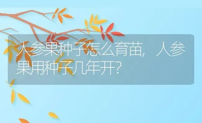 人参果种子怎么育苗,人参果用种子几年开？ | 养殖科普