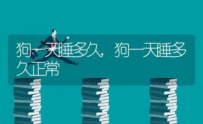狗一天睡多久,狗一天睡多久正常 | 养殖学堂