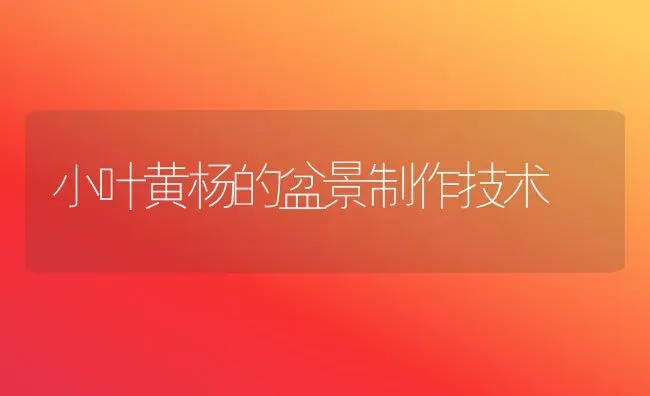 小叶黄杨的盆景制作技术 | 养殖技术大全