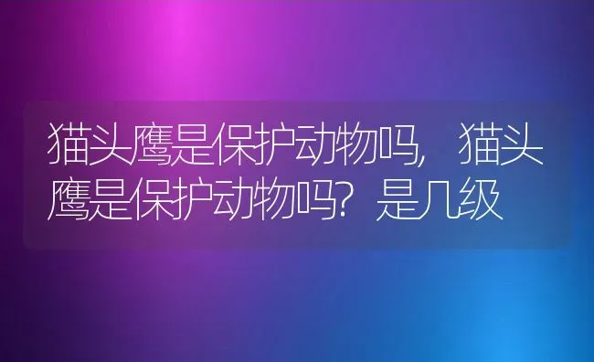 猫头鹰是保护动物吗,猫头鹰是保护动物吗?是几级 | 养殖科普