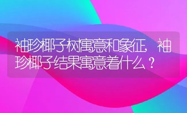 袖珍椰子树寓意和象征,袖珍椰子结果寓意着什么？ | 养殖科普