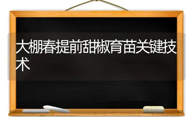 大棚春提前甜椒育苗关键技术 | 养殖知识