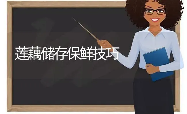 莲藕储存保鲜技巧 | 养殖技术大全