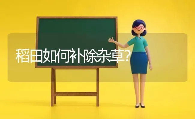 稻田如何补除杂草? | 养殖技术大全