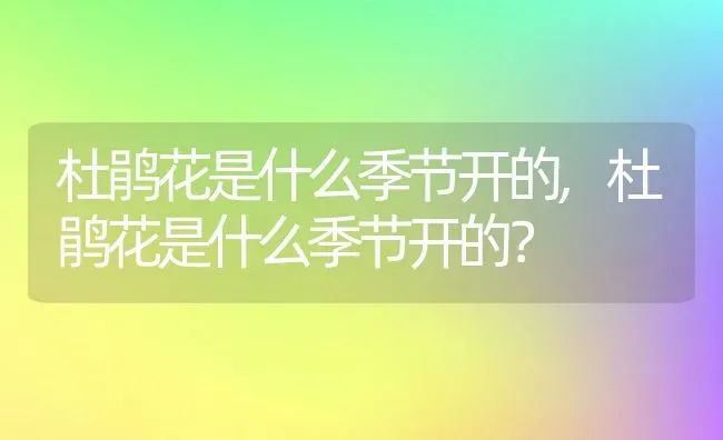 杜鹃花是什么季节开的,杜鹃花是什么季节开的？ | 养殖学堂