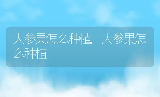 人参果怎么种植,人参果怎么种植 | 养殖科普