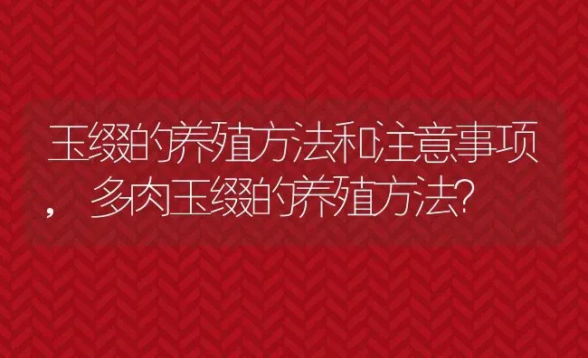 玉缀的养殖方法和注意事项,多肉玉缀的养殖方法？ | 养殖科普