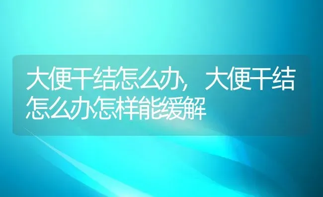 大便干结怎么办,大便干结怎么办怎样能缓解 | 养殖资料