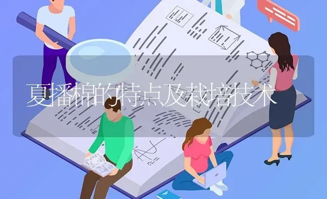 夏播棉的特点及栽培技术 | 养殖知识