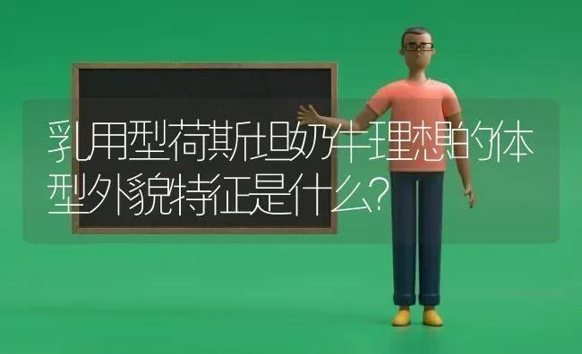 乳用型荷斯坦奶牛理想的体型外貌特征是什么? | 养殖技术大全