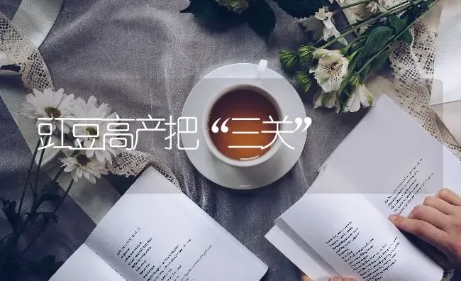 豇豆高产把“三关” | 养殖知识