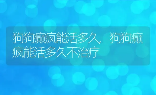 狗狗癫疯能活多久,狗狗癫疯能活多久不治疗 | 养殖资料